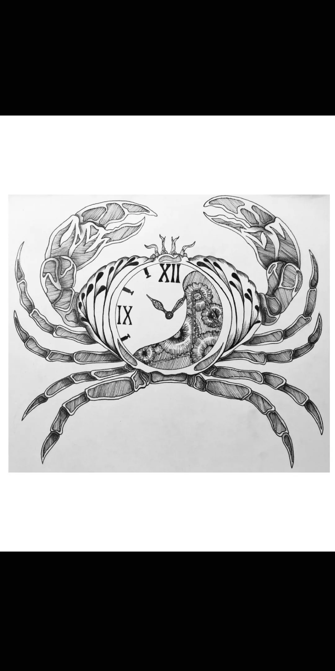 Crabe dessiné à l'encre en hachures serrées, une horloge à chiffres romains encastrée dans sa carapace.