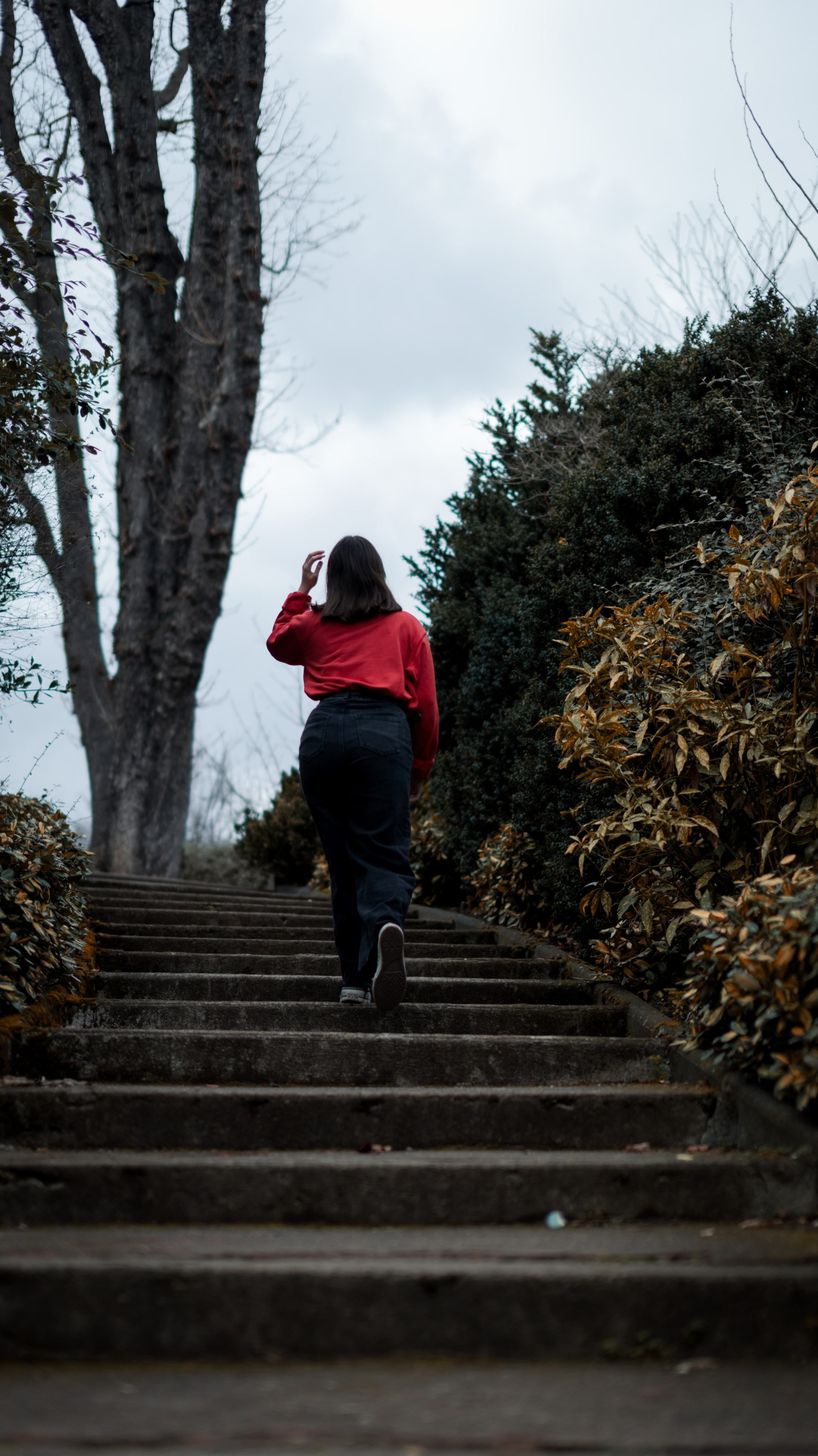 Une personne en haut d'un escalier de pierre, de dos, entre un grand tronc nu et une haie, sous un ciel gris.